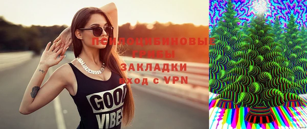 соль ск Алексин